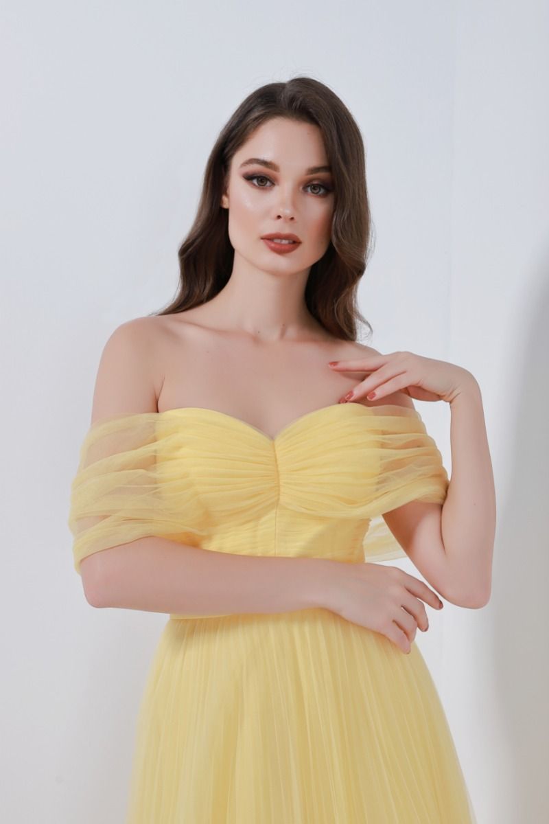 Rushed bustier dress