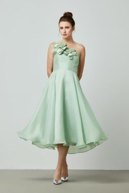 Asymmetrical neckline dress